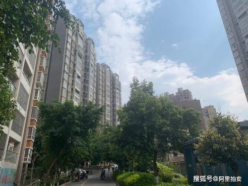 攀枝花錦泰亨房地產破產清算 一住宅39萬元起拍，非居住房地產租賃同步處置