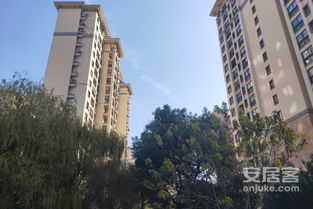 深入解讀 東方帕堤歐公寓住宅的優(yōu)劣與周邊經(jīng)紀(jì)人評(píng)價(jià)